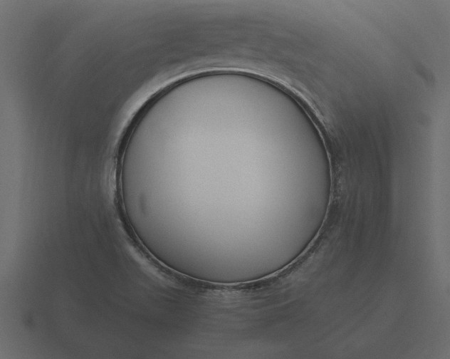 X0000116621511200912241743