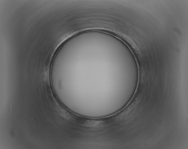 X0000116621513200912241743