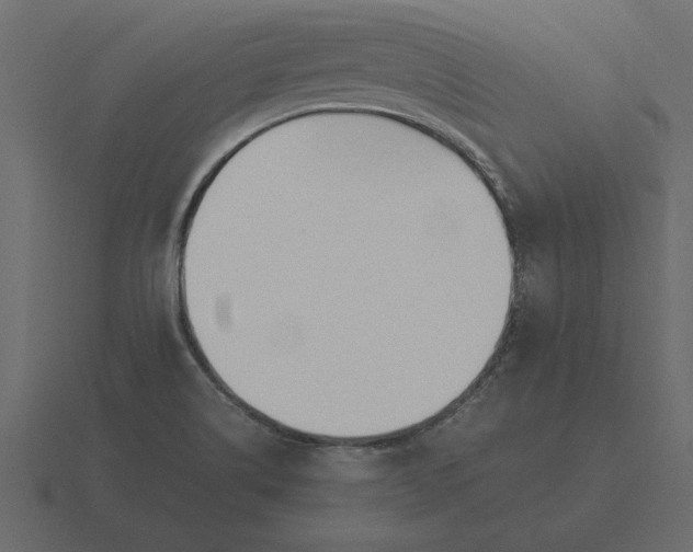 X0000116621514200912241743