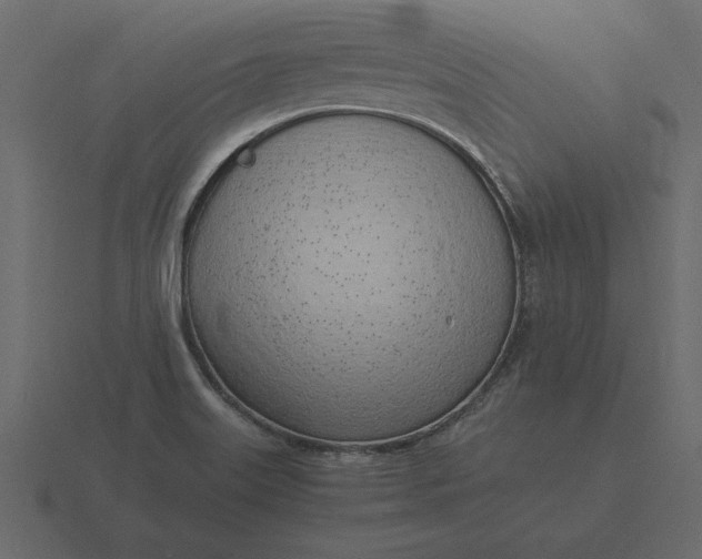 X0000116621515200912241743