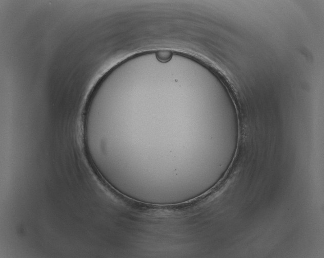 X0000116621517200912241743