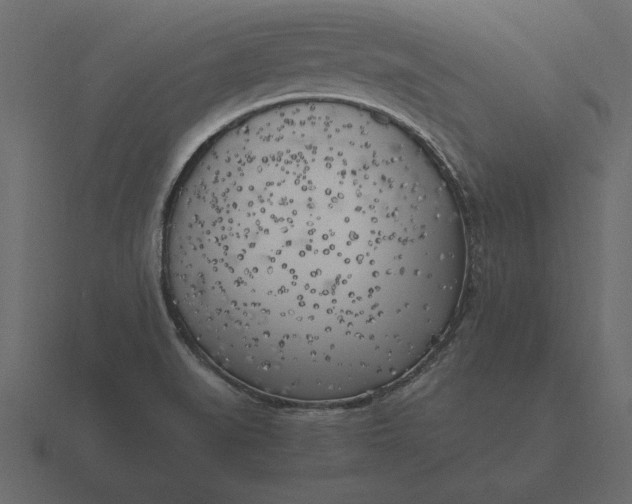 X0000116621519200912241743