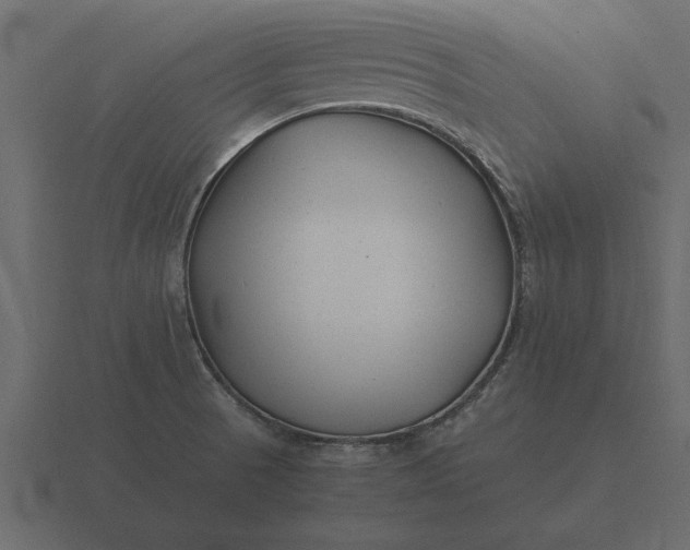 X0000116621521200912241743