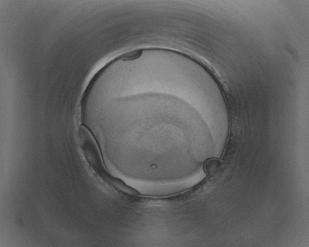 X0000116621522200912241743