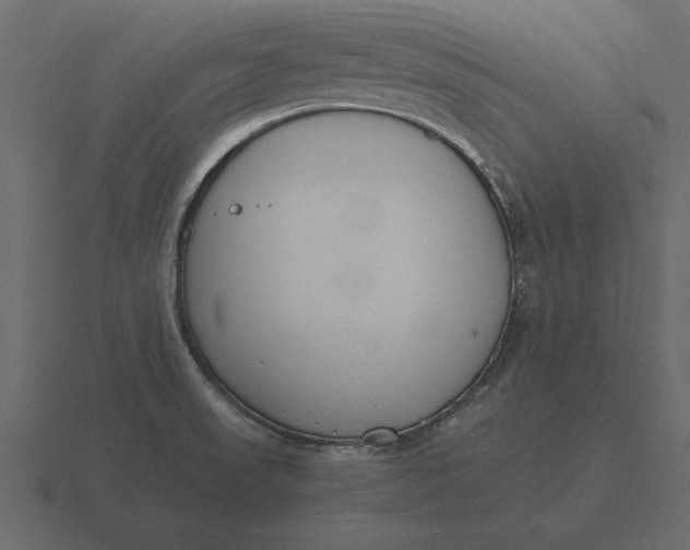 X0000116621523200912241743