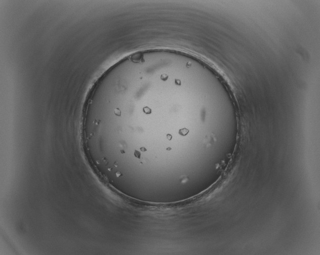 X0000116621525200912241743