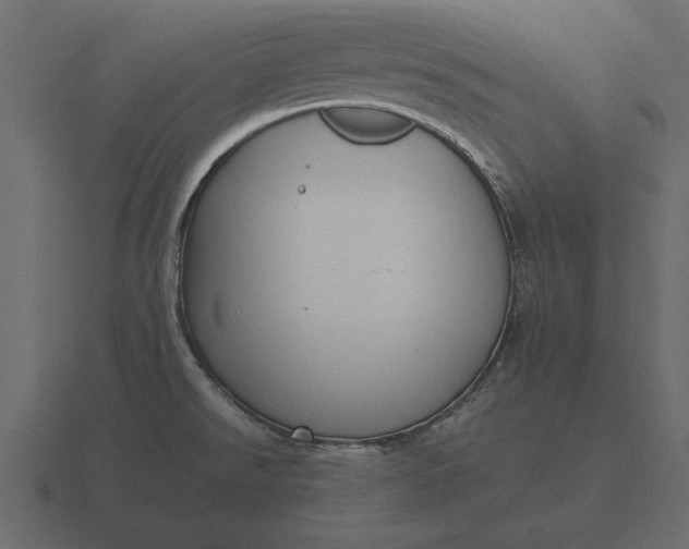 X0000116621526200912241743