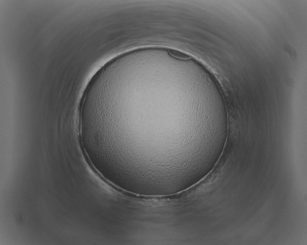 X0000116621527200912241743