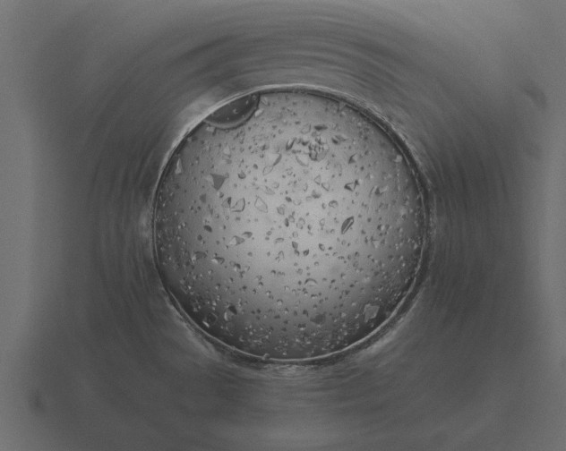 X0000116621529200912241743