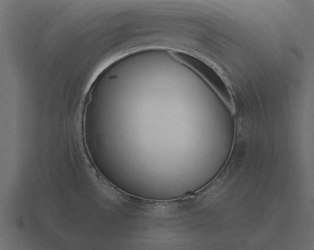 X0000116621530200912241743