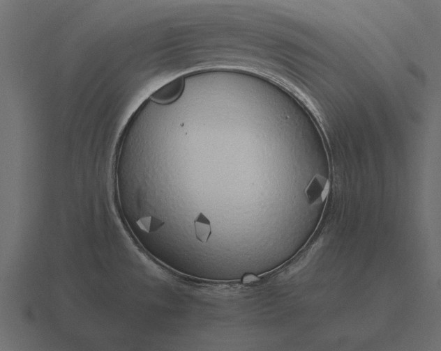 X0000116621533200912241743