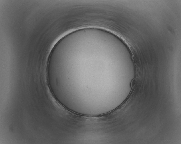 X0000116621534200912241743