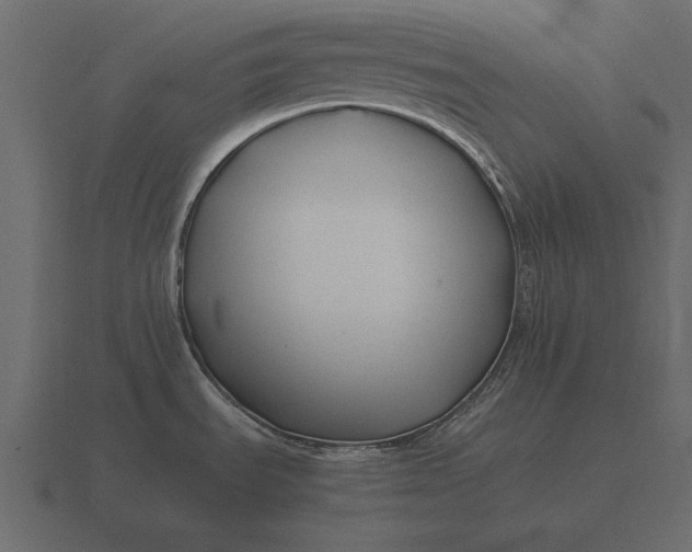 X0000116621535200912241743