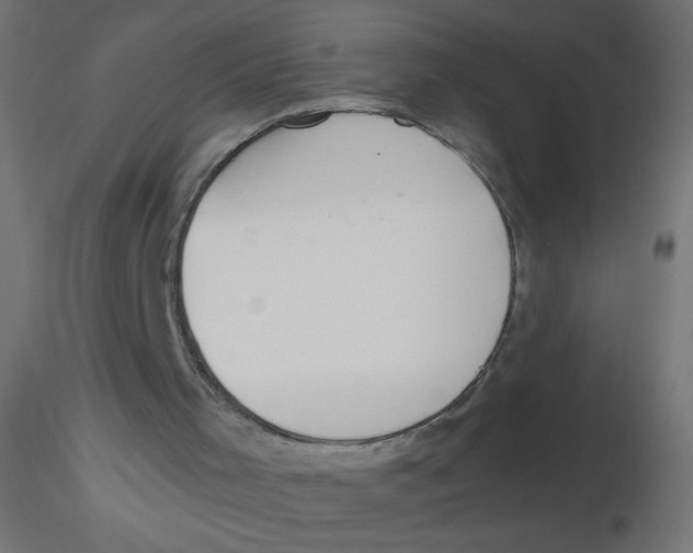 X0000116620001200912312148