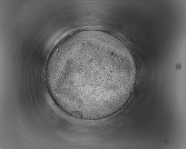 X0000116620002200912312148