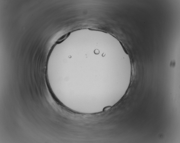 X0000116620003200912312148