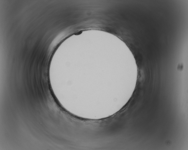 X0000116620004200912312148