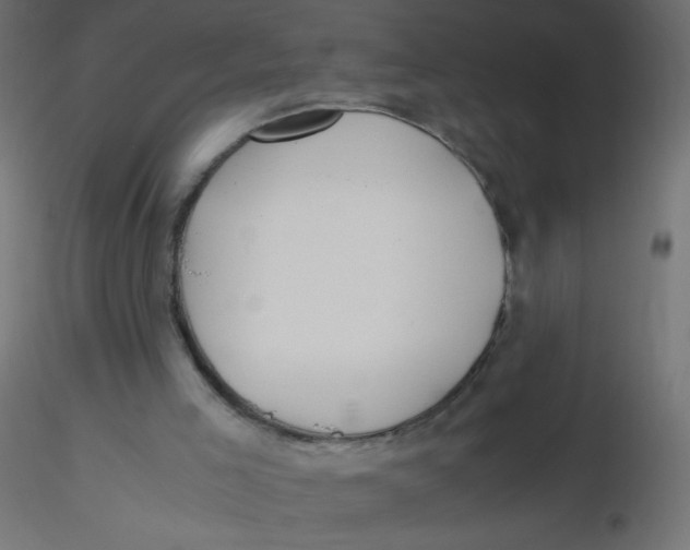 X0000116620005200912312148