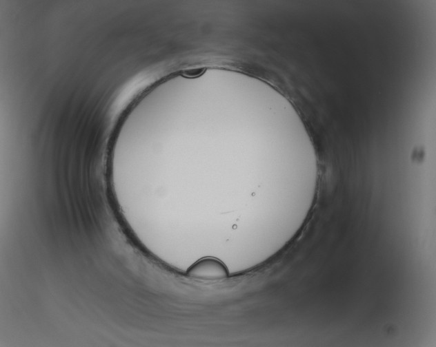 X0000116620006200912312148