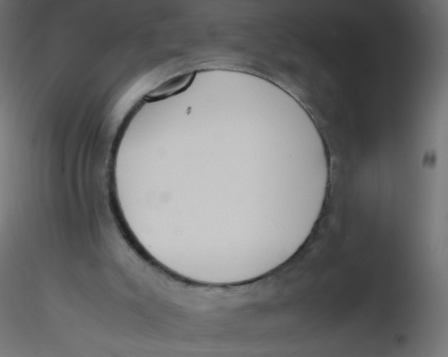 X0000116620007200912312148