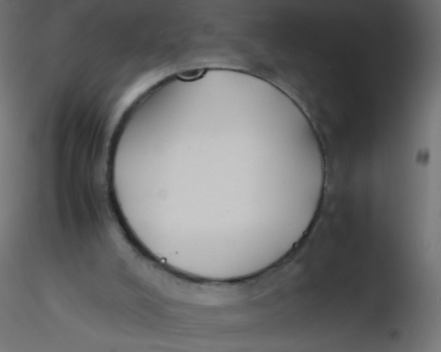 X0000116620008200912312148