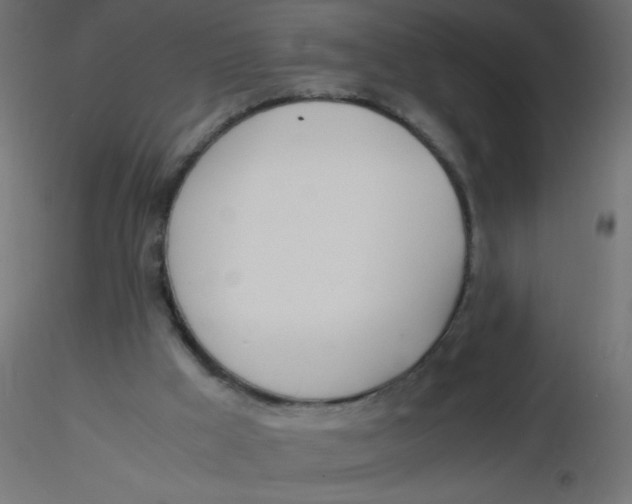 X0000116620009200912312148