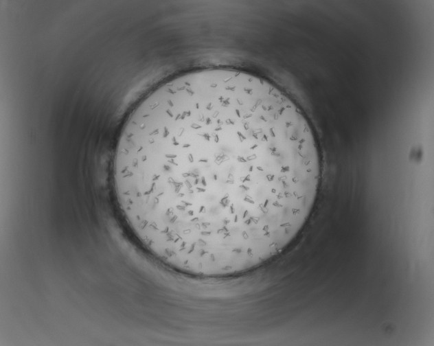 X0000116620010200912312148