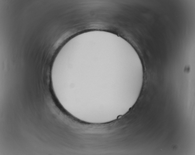 X0000116620011200912312148