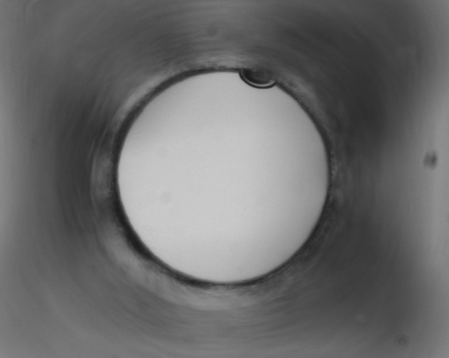 X0000116620012200912312148