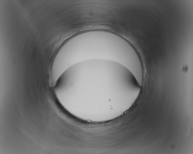 X0000116620013200912312148