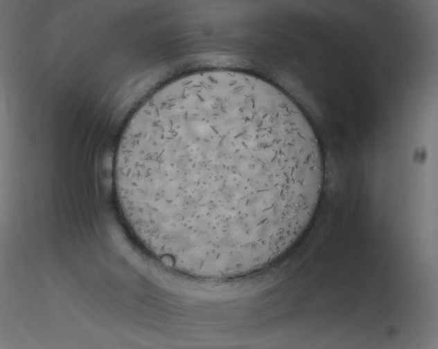 X0000116620014200912312148