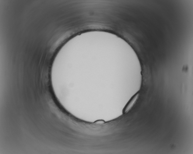 X0000116620015200912312148