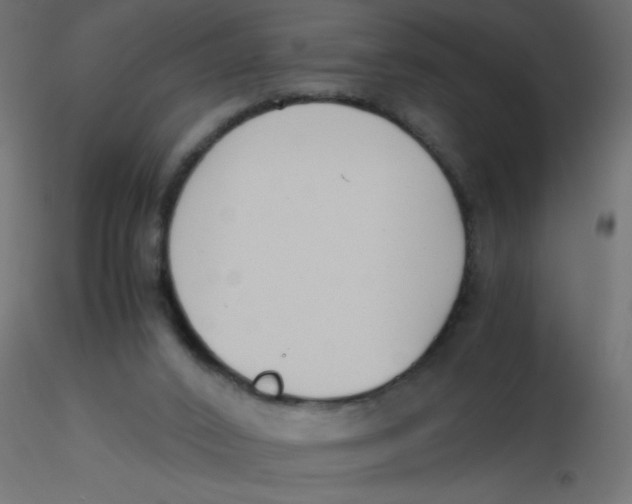 X0000116620016200912312148