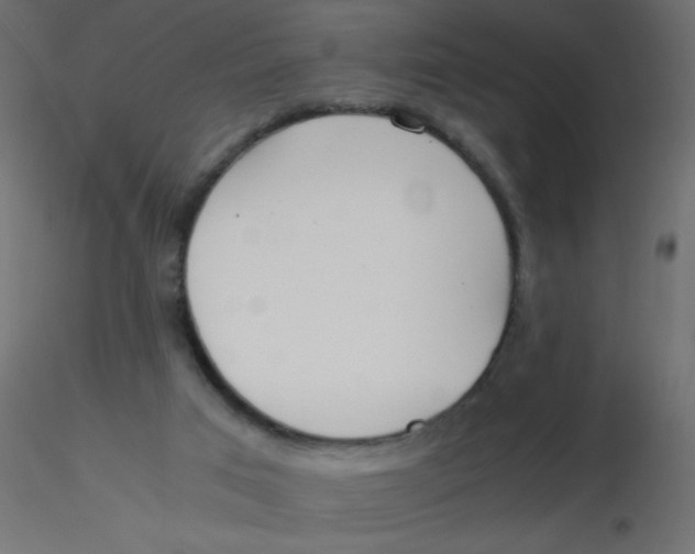 X0000116620017200912312148