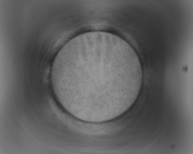 X0000116620018200912312148