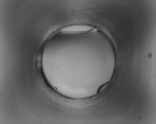 X0000116620019200912312148