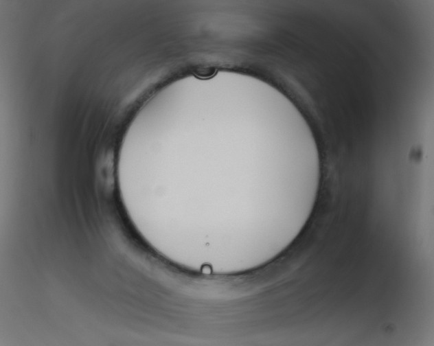 X0000116620020200912312148