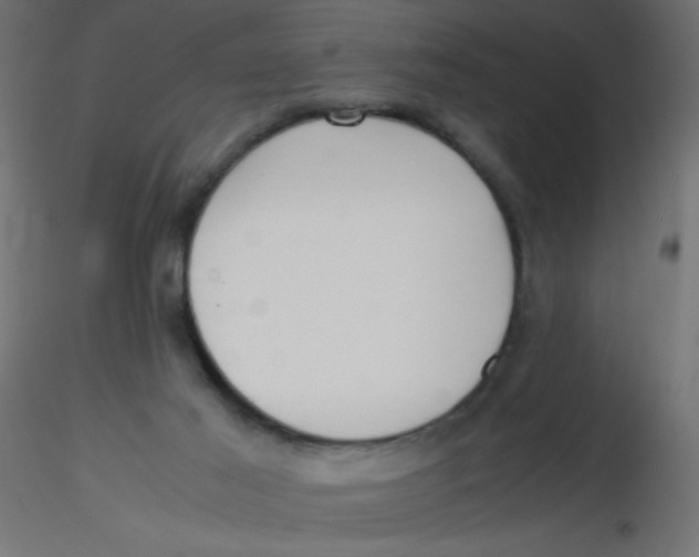 X0000116620021200912312148