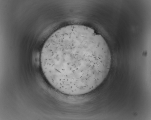 X0000116620022200912312148