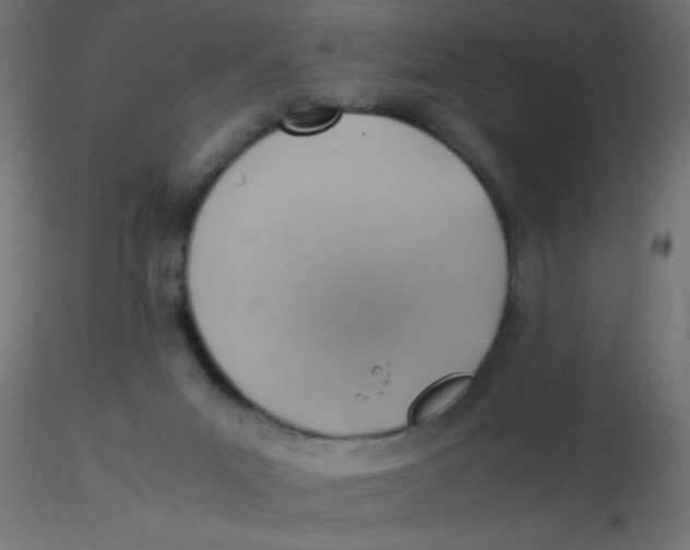 X0000116620023200912312148