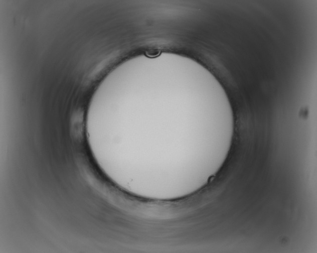 X0000116620024200912312148