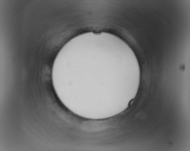 X0000116620025200912312148