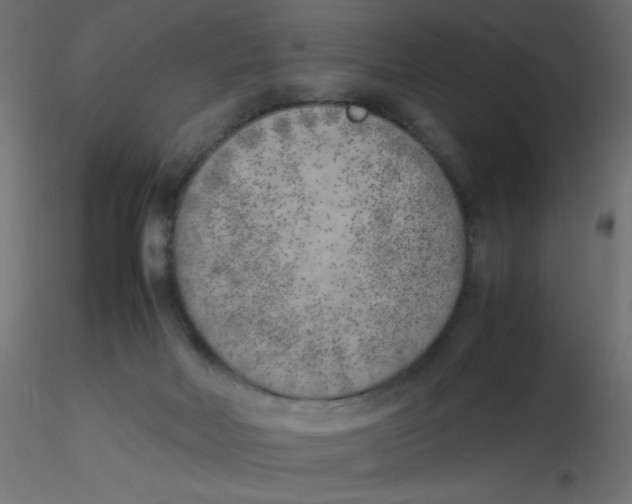 X0000116620026200912312148