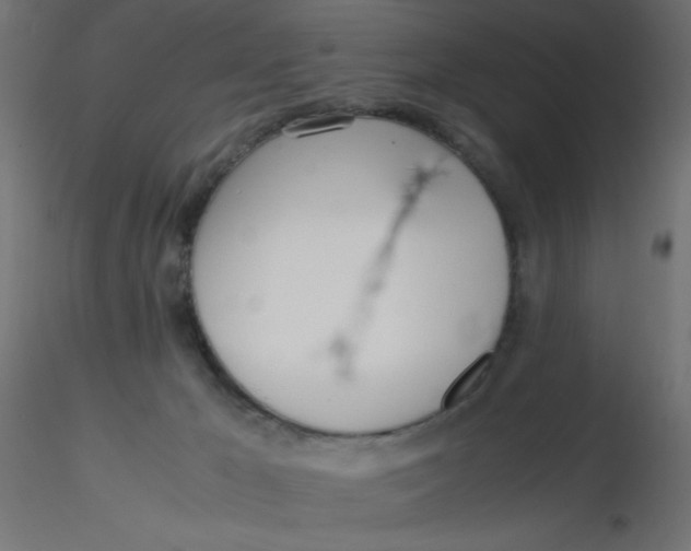 X0000116620029200912312148