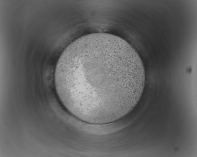 X0000116620030200912312148