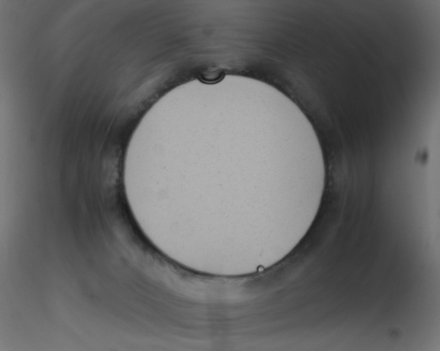 X0000116620032200912312148