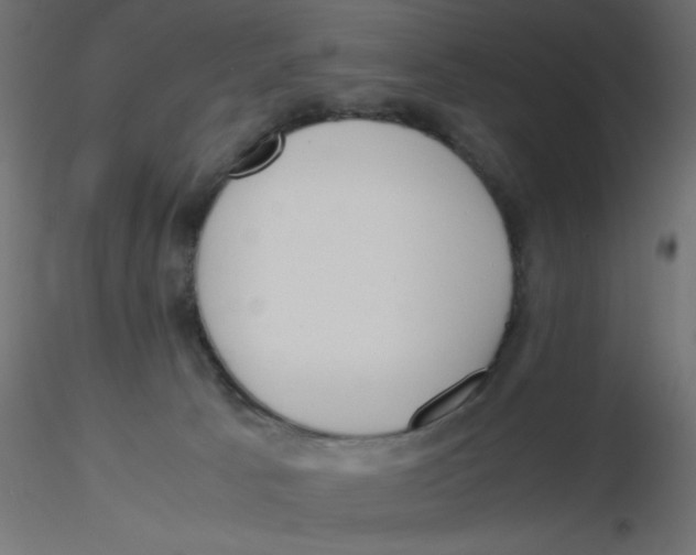 X0000116620033200912312148