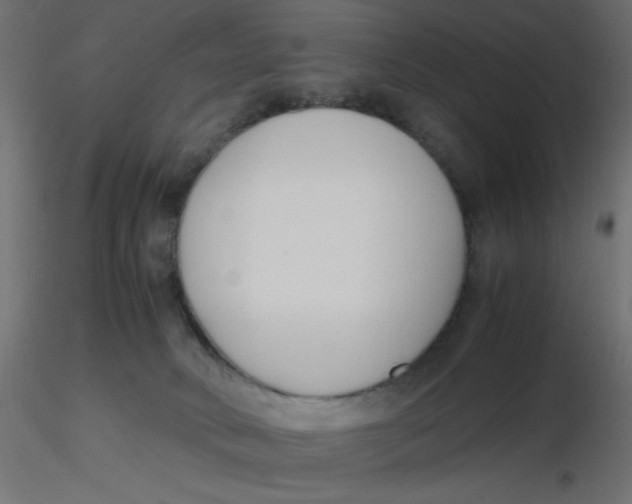 X0000116620034200912312148