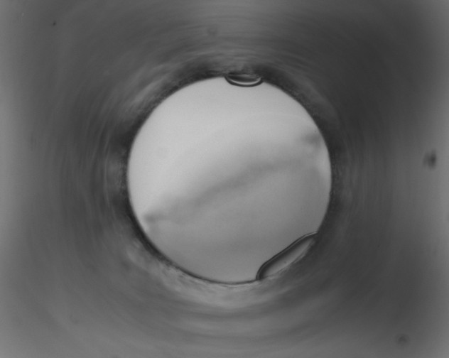 X0000116620035200912312148