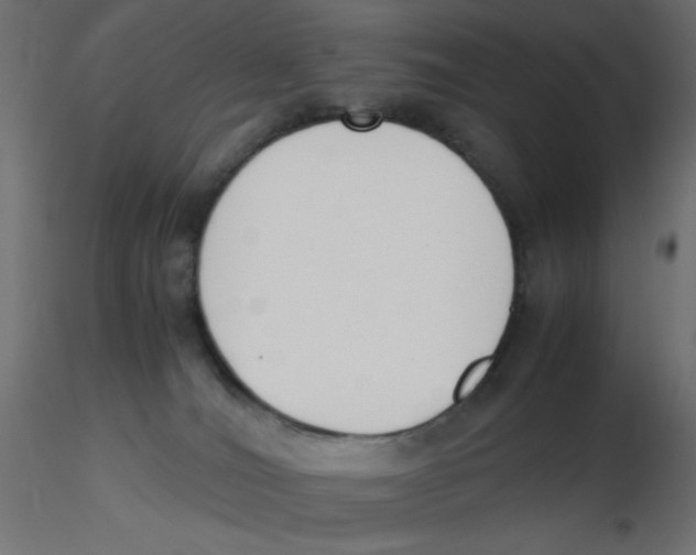 X0000116620036200912312148